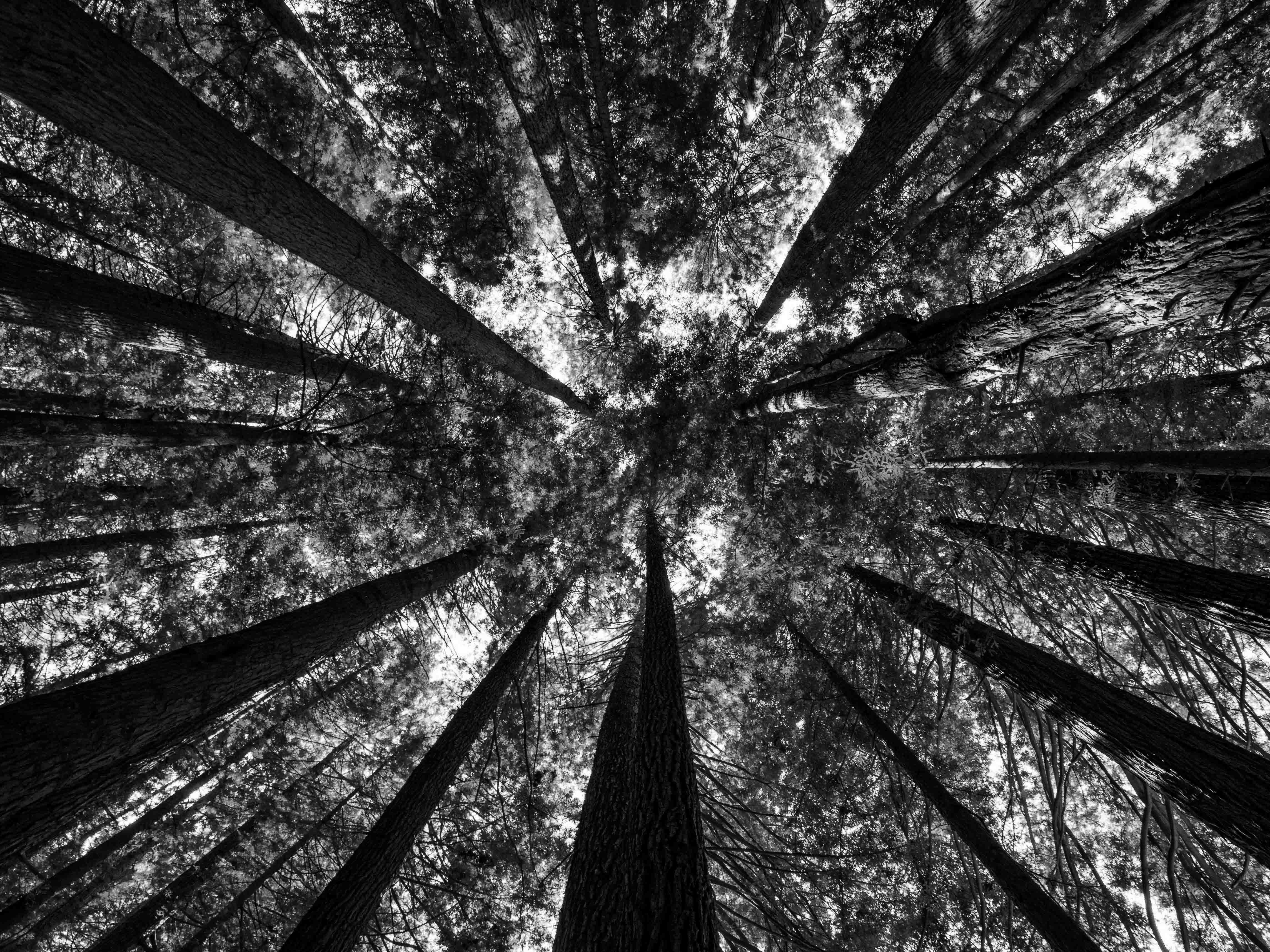 Economy-wide insights through CGE modelling