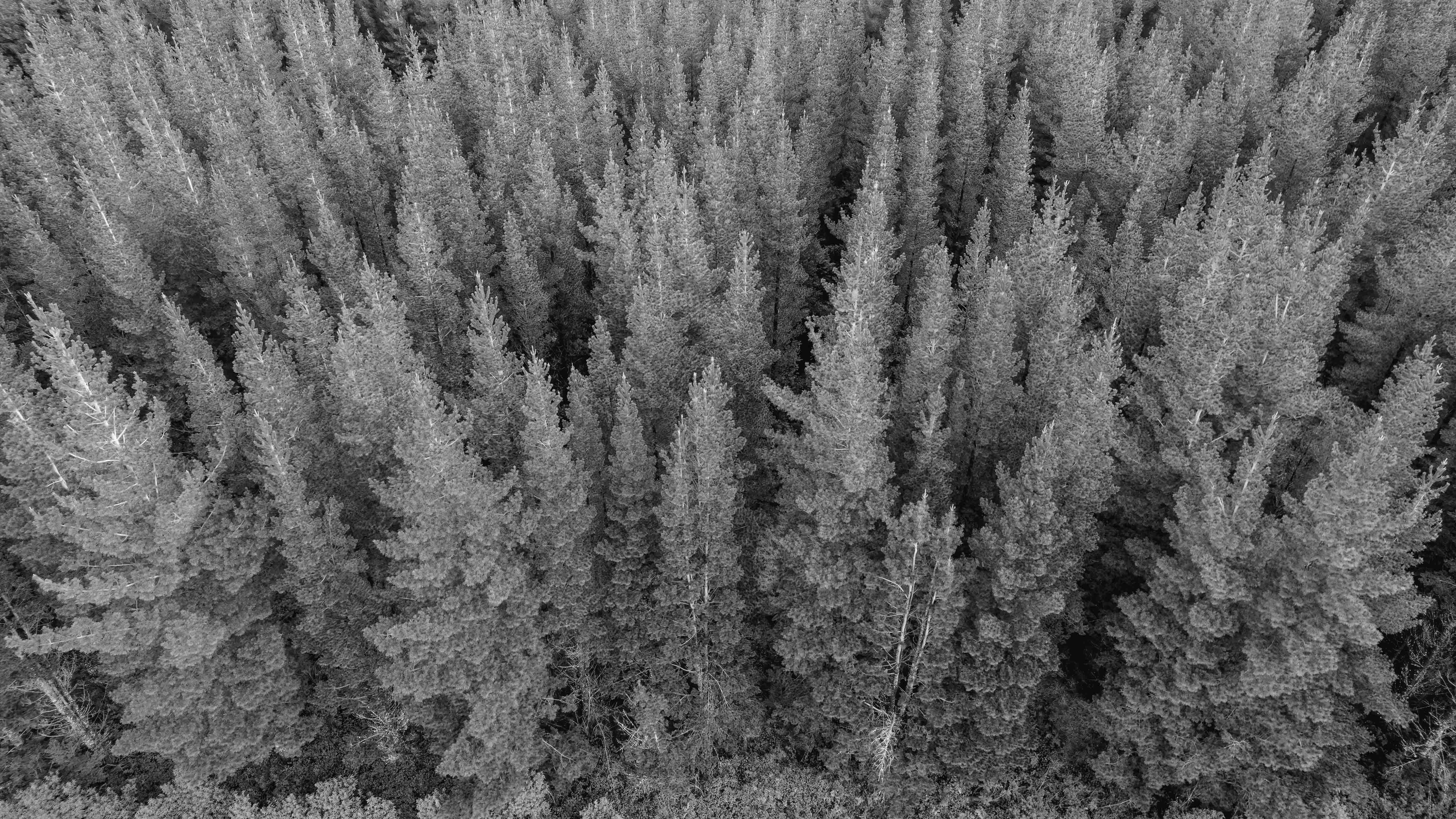 Partial Equilibrium Analysis